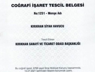 Kırıkhan Siyah Havucu Coğrafi İşaret Tescili Aldı Galeri