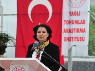 Greenhouse Of Emergency Support Project Towards Crop Production Of Syrian Refugees ın The Temporary Housing Center ın Osmaniye Has Been Opened Galeri