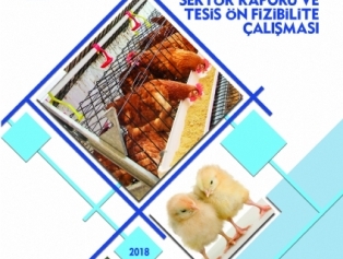 Poultry Livestock Sector Report And Facility Pre-feasibility Study Was Published Galeri