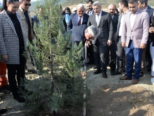 Çevreye Duyarlı Sosyal Sorumluluk Kapsamında “Geleceğe Nefes” Fidan Dikme Kampanyasına DOĞAKA Personelinden Tam Destek Galeri