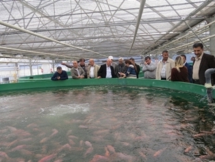 Aquaculture Plants In Adana And Konya Have Been Visited Galeri