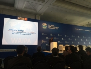 World Investment Summit (WAIPA) Organized in Istanbul. Galeri