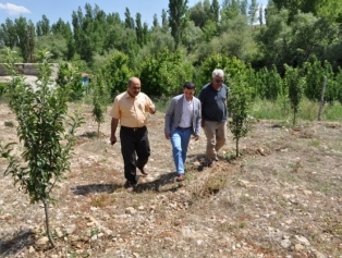 Within the context of Kahramanmaraş Province Based Rural Development Plans visits were made to the districts. Galeri