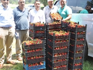 Within the context of Kahramanmaraş Province Based Rural Development Plans visits were made to the districts. Galeri