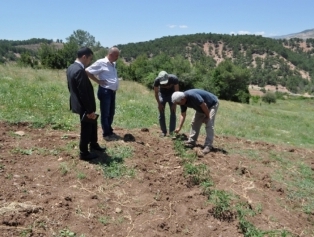 Within the context of Kahramanmaraş Province Based Rural Development Plans visits were made to the districts. Galeri