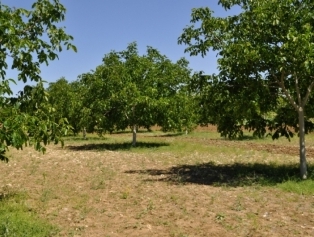 Within the context of Kahramanmaraş Province Based Rural Development Plans visits were made to the districts. Galeri